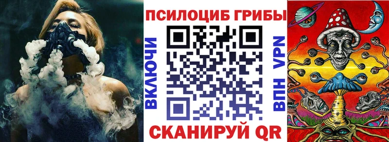 магазин продажи   Гудермес  Галлюциногенные грибы GOLDEN TEACHER 